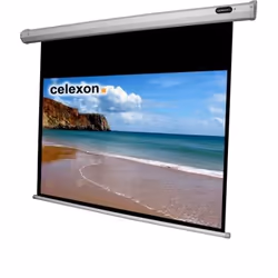 Celexon 1090080, 16:9, Noir, Blanc