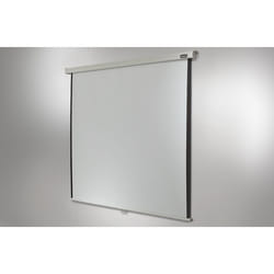 Celexon Professional écran de projection 1:1