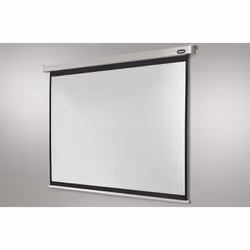 Celexon Professional écran de projection 1:1