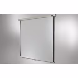 Celexon Rollo Professional, Manuel, 4,24 m (167"), 2,9 m, 2,9 m, 1:1, Blanc