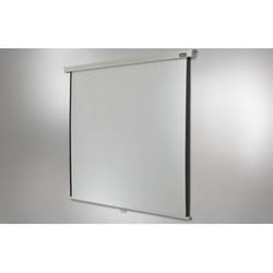 Celexon Rollo Professional écran de projection 4,24 m (167") 1:1