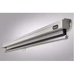Celexon Rollo Professional écran de projection 4,24 m (167") 1:1