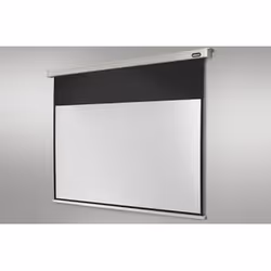 Celexon Rollo Professional écran de projection 4,24 m (167") 1:1