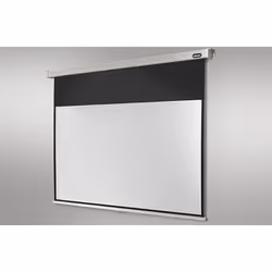 Celexon Professional écran de projection 4:3