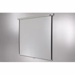 Celexon Rollo Professional écran de projection 3,43 m (135") 16:9