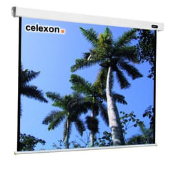 Celexon 1090090 écran de projection 1:1