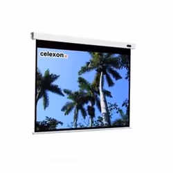 Celexon Professional 300x300cm, Motorisée, 2,9 m, 2,9 m, 1:1, Blanc