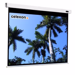 Celexon 1090097, 4:3, Noir, Blanc