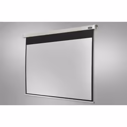 Celexon Professional écran de projection 4:3