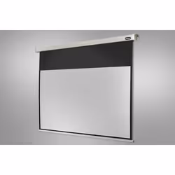 Celexon Professional écran de projection 4:3