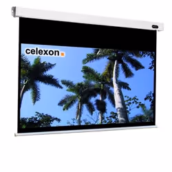 Celexon 1090101