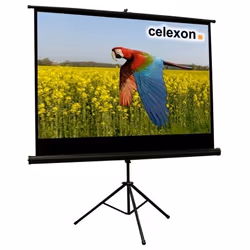 Celexon 1090259, 16:9, Noir, Blanc