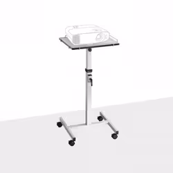 Celexon 1090286 support pour projecteurs Sol Gris
