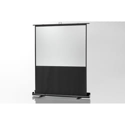 Celexon 1090370 écran de projection 142,2 cm (56") 4:3