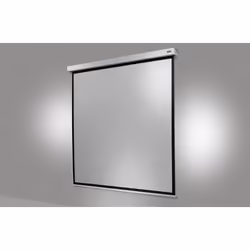 Celexon Professional Plus, 3000 x 1690 mm