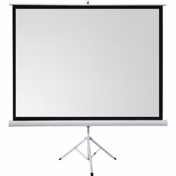 Écran de projection celexon sur pied basic 220 x 220 cm
