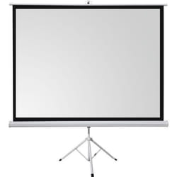 Écran de projection celexon sur pied basic 220 x 220 cm