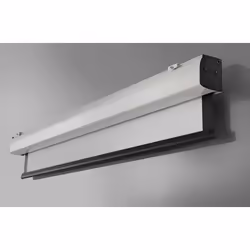 Celexon Expert XL écran de projection 16:10