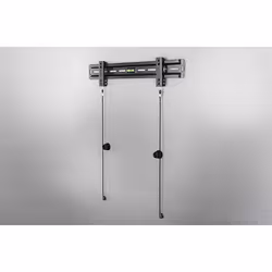 Celexon Fixed-5522 55" Noir