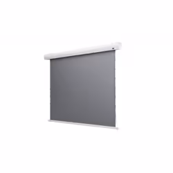 Celexon HomeCinema, Motorisée, 3,05 m (120"), 2,65 m, 149 cm, 16:9, Écran sous tension