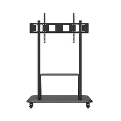 Celexon 55120MP 3,05 m (120") Noir