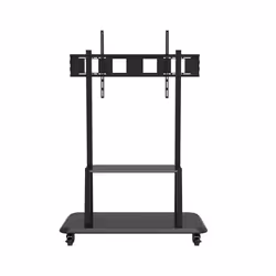 Celexon 55120MP 3,05 m (120") Noir