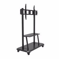 Celexon 55120MP 3,05 m (120") Noir