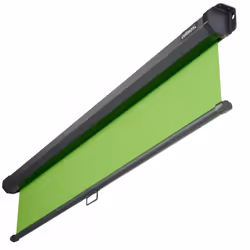 Celexon 1000010982 écran d'arrière plan Vert Polyester