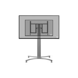 Celexon 1000013109 support pour téléviseur 2,18 m (86") Noir, Argent