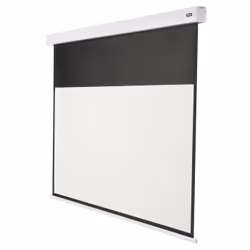 Celexon Professional Plus, Motorisée, 99,1 cm (39"), 2,2 m, 124 cm, 16:9