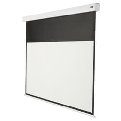 Celexon Pro Plus écran de projection 99,1 cm (39") 16:9