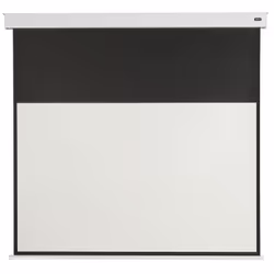 Celexon Professional Plus écran de projection 43" 16:9