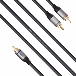 Celexon 1000015610 câble audio 2 m 2 x RCA RCA Noir