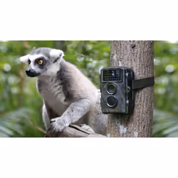 Technaxx Nature Wild Cam TX-69 Boîte Intérieure et extérieure 1920 x 1080 pixels - Vue supplémentaire 6