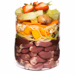 Terra Canis 180002 pâtée pour chien Canard, Courge Adulte 800 g - Vue supplémentaire 2