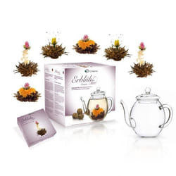 Creano Teekanne 0.5 l, Transparent Thé noir