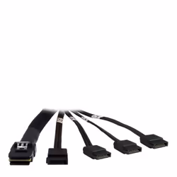 Inter-Tech 88885237, 0,65 m, Mâle/Mâle, Noir, Droit, Droit, 0,035 g