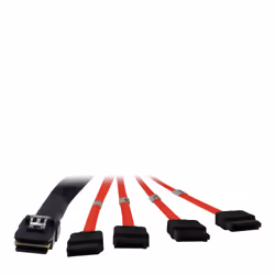 Inter-Tech SFF 8087 - 4 x SATA 1m, 1 m, SFF-8087, 4 x SATA, Mâle/Mâle, Noir