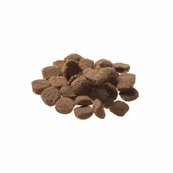 GranataPet 184496 Alimentation sèche pour chiens 10 kg Adulte Agneau