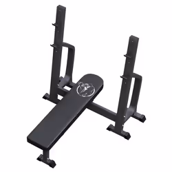 Gorilla Sports 100128-00045-0001 banc de musculation
