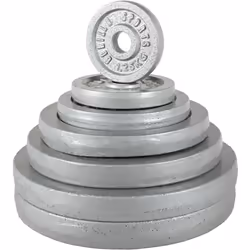 Gorilla Sports 100063-00002-0025 haltère Haltère ajustable 20,5 kg