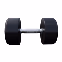 Gorilla Sports 100532-00049-0025 haltère Haltère au poids fixe 20 kg