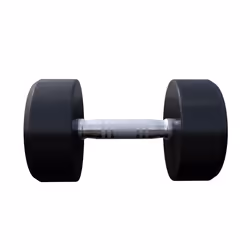 Gorilla Sports 100532-00049-0018 haltère Haltère au poids fixe 12,5 kg