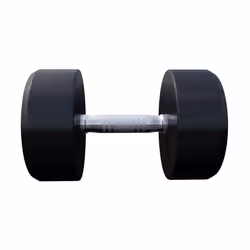 Gorilla Sports 100532-00049-0029 haltère Haltère au poids fixe 25 kg