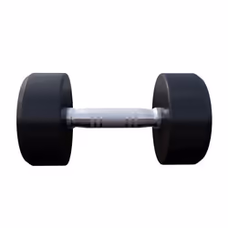 Gorilla Sports 100278-00008-0109 haltère Haltère au poids fixe 20 kg 2 pièce(s)