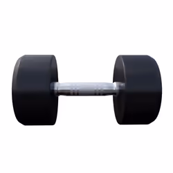 Gorilla Sports 100280-00008-0111 haltère Haltère au poids fixe 30 kg 2 pièce(s)
