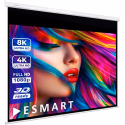ESMART Professionnel MIROLO Toile pour store enrouleur 244 x 183 cm (120) 4:3 Écran de projecteur home cinéma écran Rollo LC ...