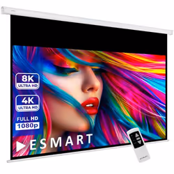 ESMART Professionnel MIMOTO Écran Moteur lumière du Jour GRIS 244 x 137 cm (110) 16:9 Télécommande programmable Écran de