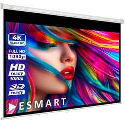 ESMART Economy EXR Toile store enrouleur 240 x 135 cm (108)  Format 16:9  Écran de projecteur home cinéma écran Rollo LCD LED