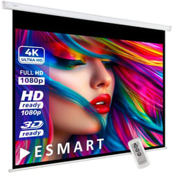 ESMART Economy EXM Toile moteur 240 x 180 cm (118)  Format 4:3  Télécommande  Home cinéma projecteur Écran de projection
